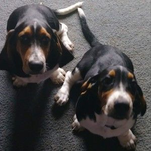 Meet your Posher, Jodeannmark